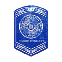 廣西平果唄儂女足